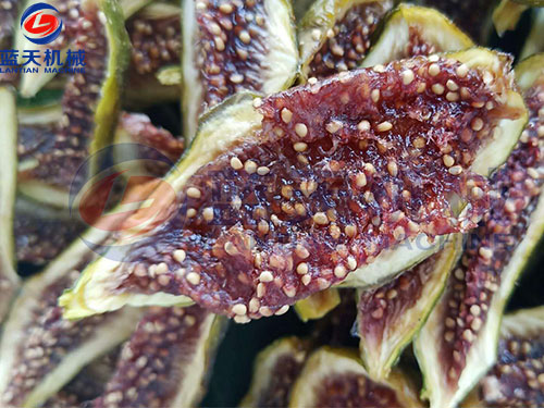 家用水果烘干機多少錢一臺？